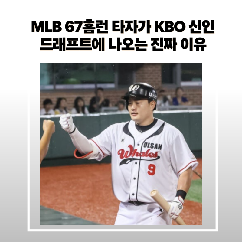 MLB 67홈런 타자가 KBO 신인 드래프트에 나오는 진짜 이유