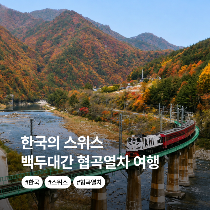 "단돈 6천 원에 스위스 여행?" 백두대간협곡열차 V트레인 예매·탑승 꿀팁