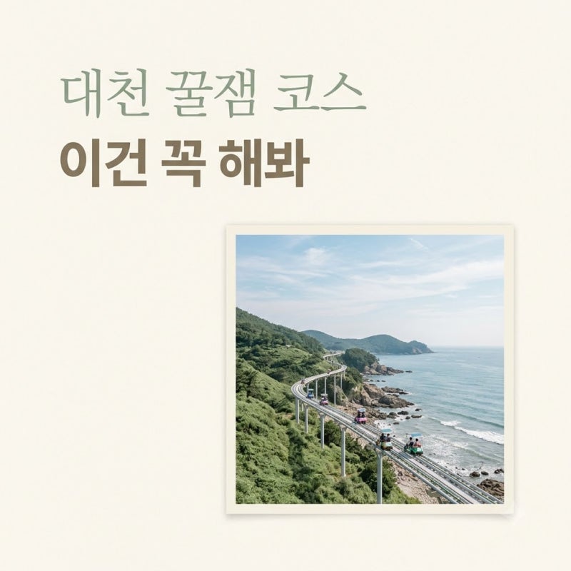 "바다 위 15m를 달린다고?".. 대천해수욕장놀거리 중 가장 핫한 3곳