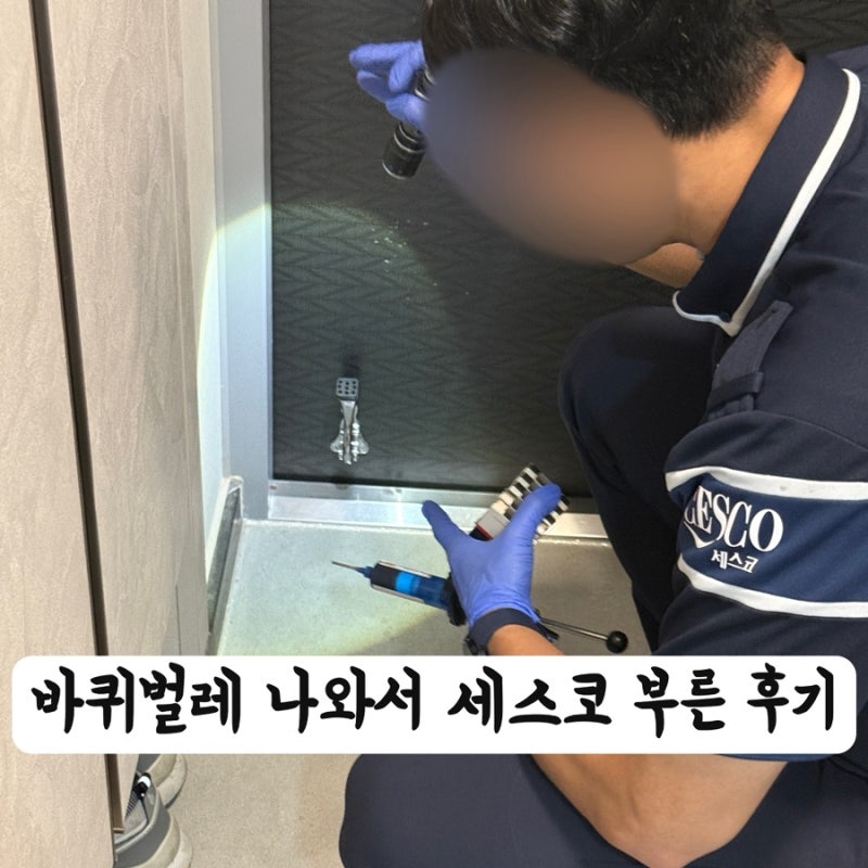 집에서 바퀴벌레가 나왔다... 세스코 부른 후기(내돈내산)