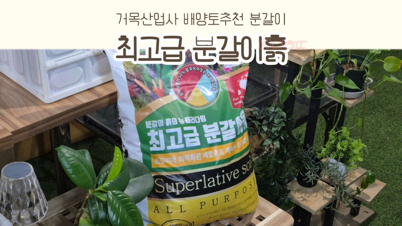 거목산업사 최고급 분갈이흙 30L 배양토 추천! 초보 식집사 홈가드닝 분갈이방법