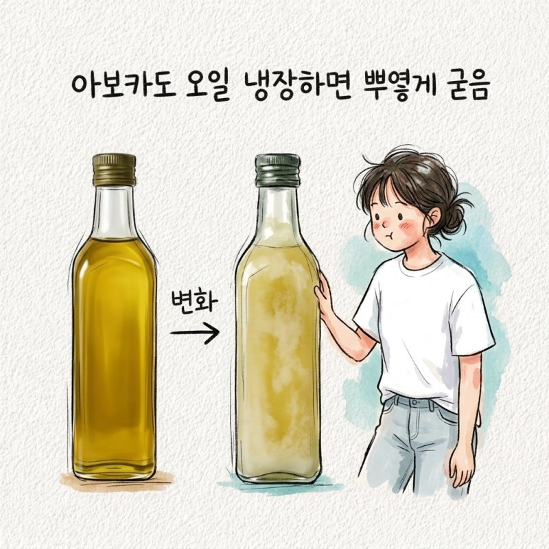 아보카도오일 발연점 종류 정제 비정제 쓰는법 보관법 상한거 올리브유 차이