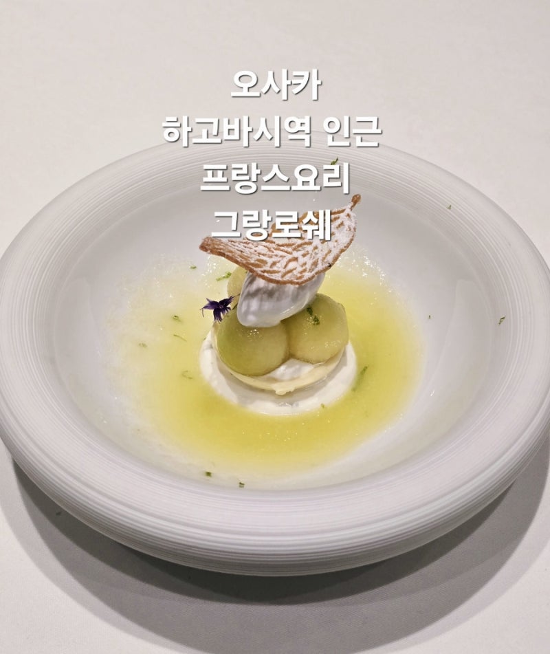 오사카 하고바시역 인근 프랑스 레스토랑 그랑로쉐 에르메스 식기에 먹다