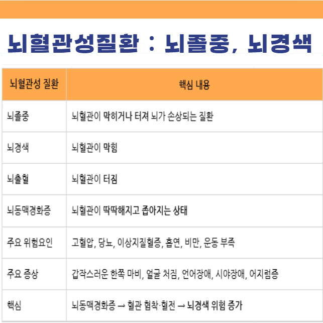 뇌혈관성 질환 뇌졸중 뇌출혈 뇌경색 뇌동맥경화증 기본정보