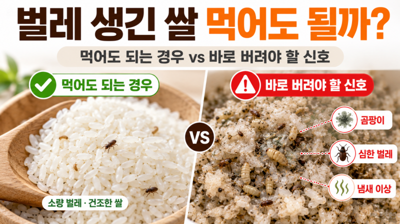 쌀벌레 생긴 쌀 먹어도 될까?｜버려야 할 쌀과 씻어 먹을 수 있는 경우