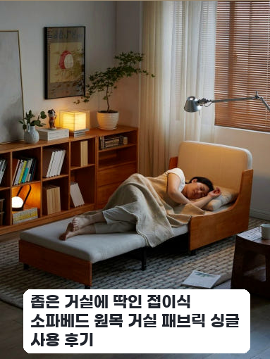 사무실 휴게용 다기능 확장형 싱글 소파베드 한 달 사용기