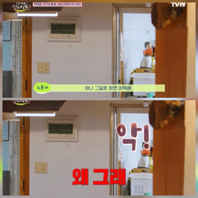 김선영 맨발 뱀 출몰 사건에 다들 놀랐는데 강유석은 왜 들어갔을까요