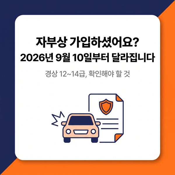 자부상 뜻과 보장, 2026년 9월 10일 자동차보험 경상환자 제도 이렇게 달라집니다