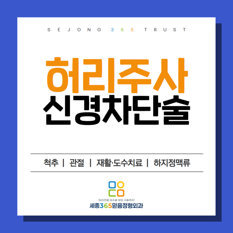 허리주사 신경차단술 효과 언제부터 있을까요? 고운동정형외과