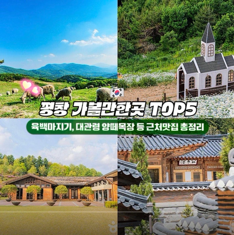 평창 가볼만한곳 TOP5, “뭐 볼 거 있어?”라는 질문에 정색하고 답합니다(육백마지기, 대관령....