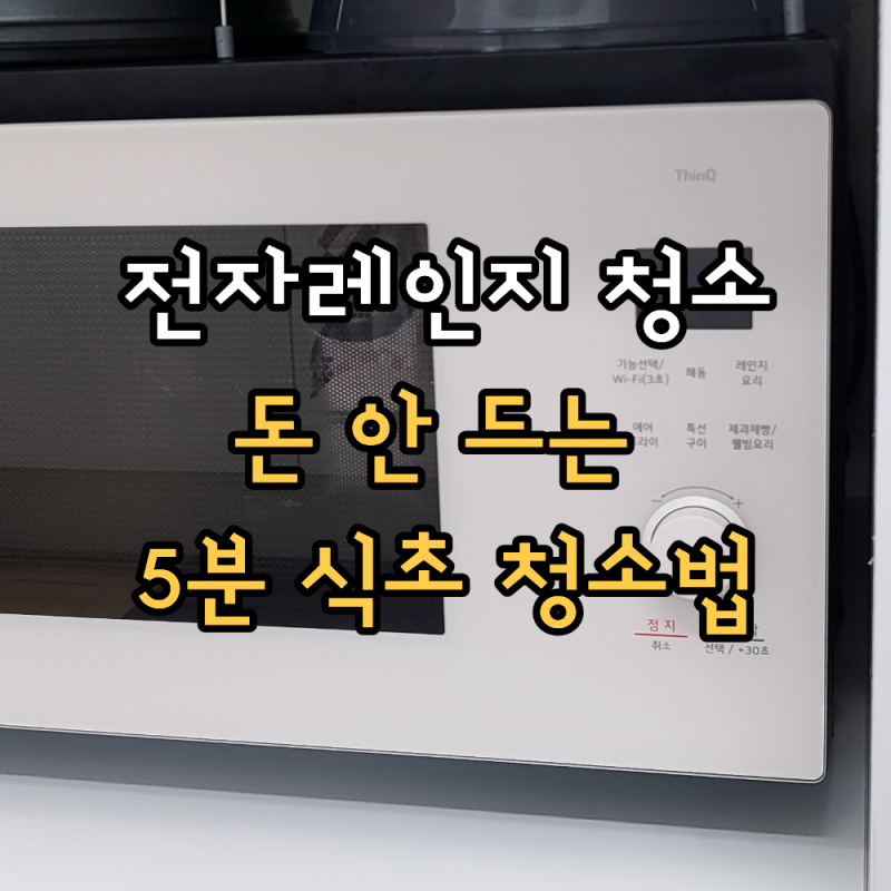 전자레인지 청소 그냥 쓰면 세균 득실! 돈 안 드는 5분 꿀팁