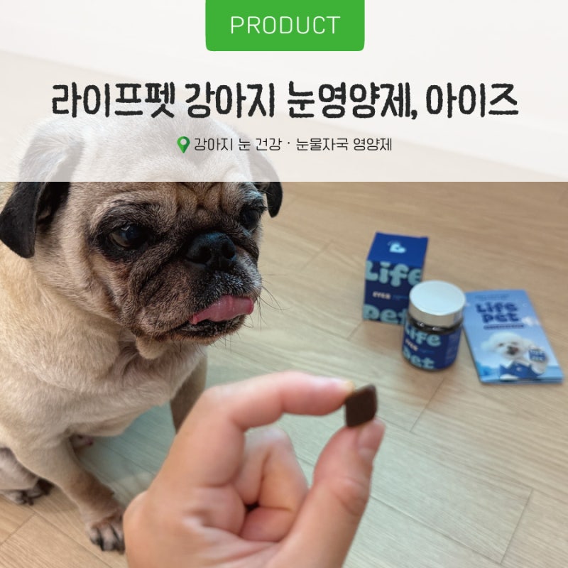강아지눈영양제 눈물 냄새와 자국에 좋은 라이프펫 아이즈 급여 후기