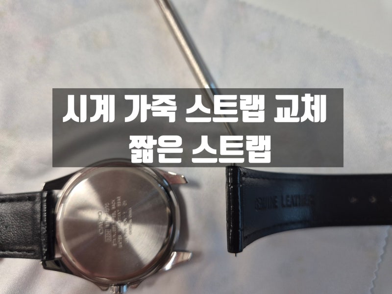 시계가죽스트랩 교체! 손목이 얇다면 짧은 가죽스트랩으로 교체하기!