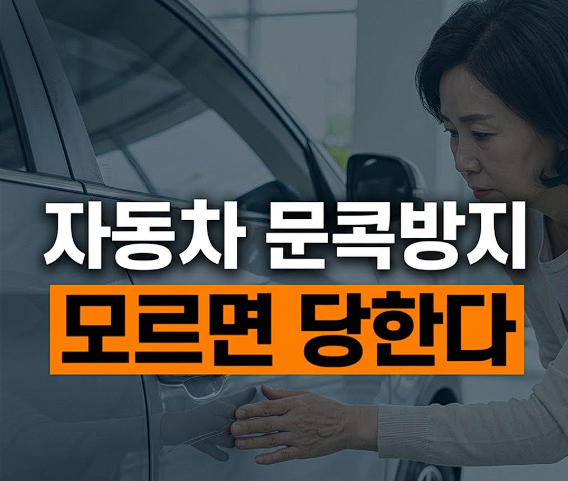 주차장 문콕 방지 도어 가드 종류별 장단점과 부착 위치 추천