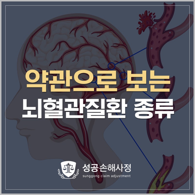 약관으로 보는 뇌혈관질환 종류