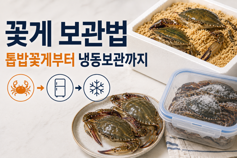 꽃게 보관법 톱밥꽃게 생물 꽃게 냉동보관까지 총정리