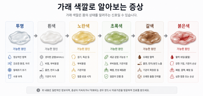 가래 색깔로 알아보는 증상, 노란 가래·초록 가래는 세균감염일까요?