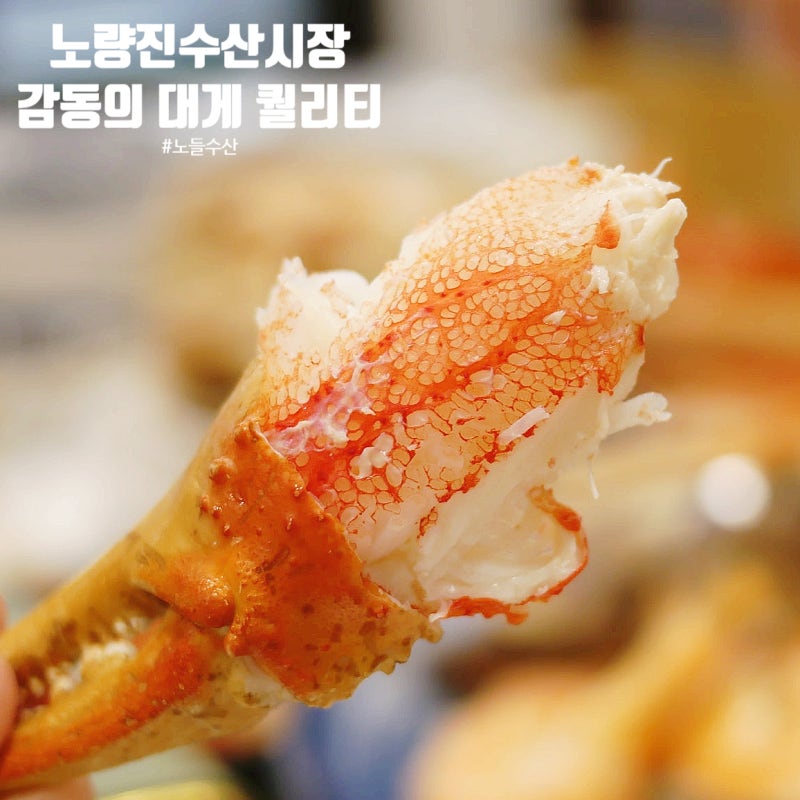 노량진수산시장 대게 시세 미리 확인하는 센스 감동의 퀄리티