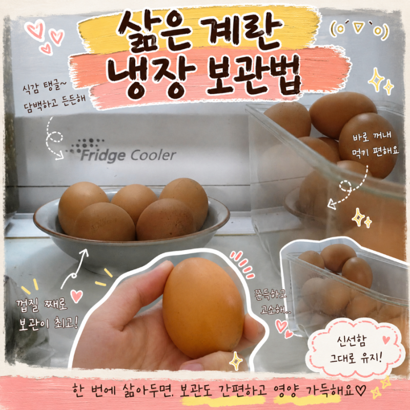 삶은계란 보관법 냉장 7일 기준, 껍질 깐 계란 실온 2시간까지 정리