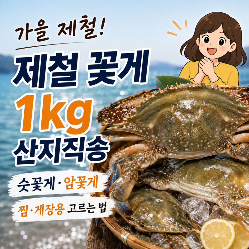 가을 제철 꽃게 1kg 산지직송 숫꽃게·암꽃게 어디서 살까?｜찜·게장용 고르는 법