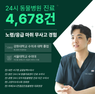 고양이구내염치료비용? 동물병원마다 다른 3가지 이유