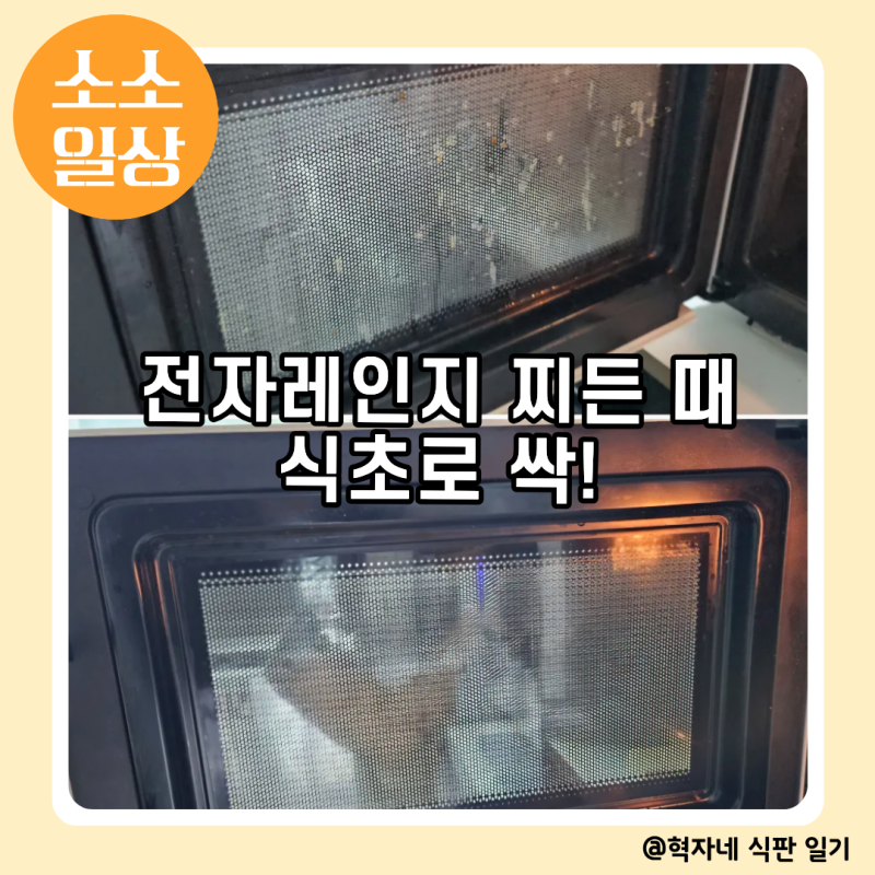 전자레인지 찌든 때 제거｜식초로 5분 청소해본 후기
