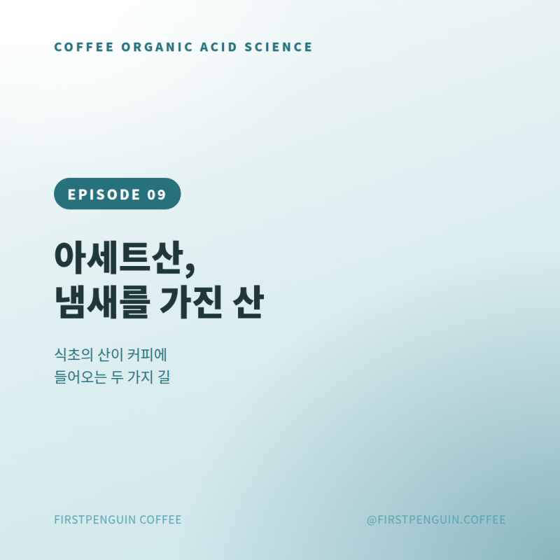 커피 유기산 사이언스 #9 아세트산, 냄새를 가진 산