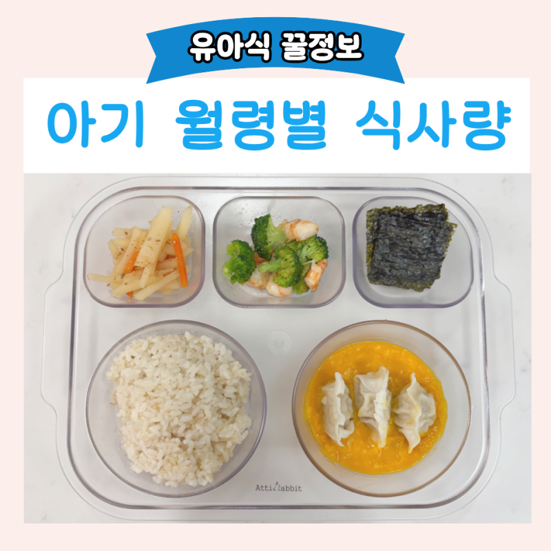 돌아기 두돌아기 유아식 밥 양 얼마나 줘야할까? 월령별 식사량