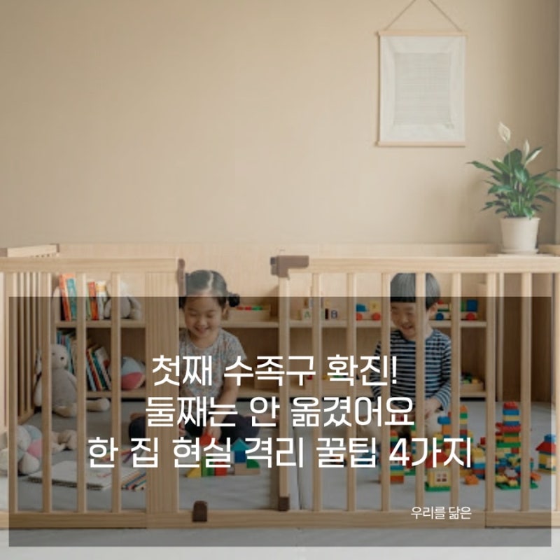 다둥이 아기 수족구 형제 격리 방법, 둘째 전염 막는 현실적인 팁