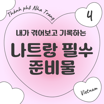 직접 겪어보고 기록하는 나트랑 여행 정보 4 | 필수준비물, 다이소 동지갑, 샤워기필터, 목베....