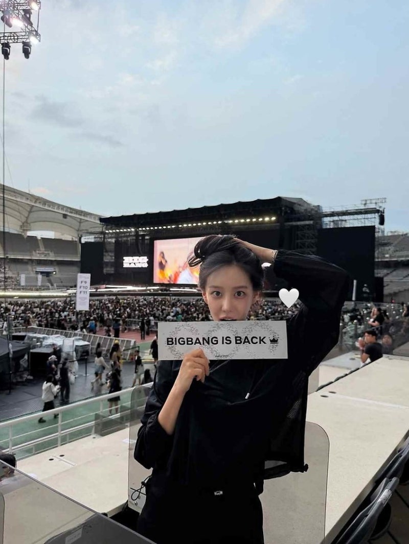 이병헌 50억 협박녀 김시원, 빅뱅 콘서트 등장…팬들 경계심 폭발
