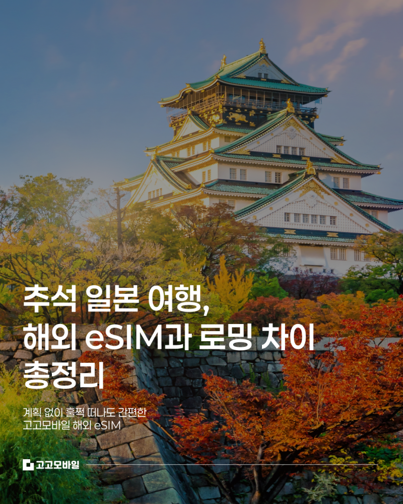 추석 일본 여행, 해외 이심과 로밍 차이 총정리 — 일본 이심 고르기 전 읽어보세요