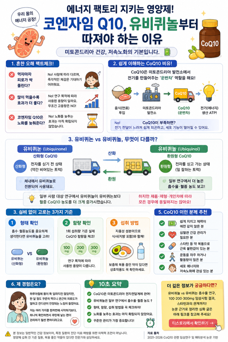 코엔자임Q10 아무거나 먹으면 될까? 유비퀴놀부터 따지는 이유