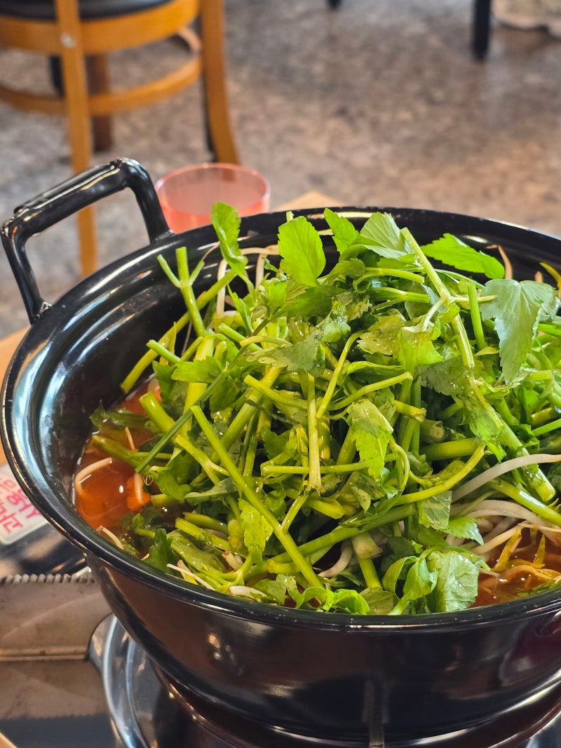 신사 가로수길 점심 맛집