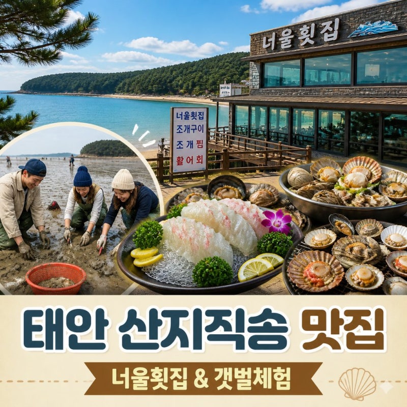 언니네 산지직송 3 태안 촬영지 식당어디