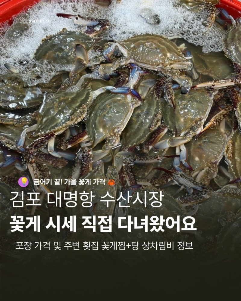 김포 대명항 수산시장 꽃게 시세 2026년 가을 수꽃게 가격