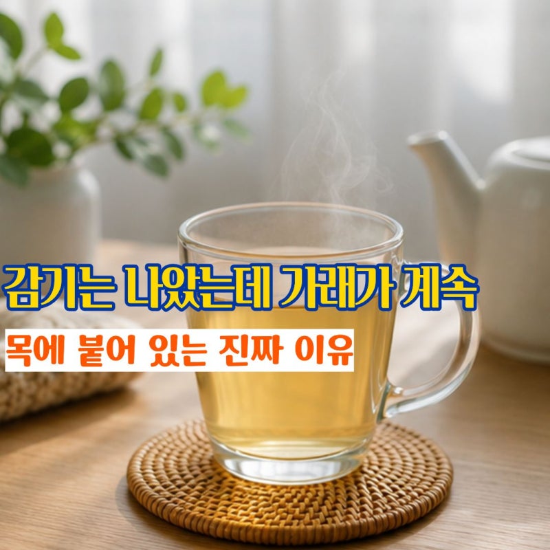 가래가생기는이유 가래가안사라져요 목에 계속 걸릴 때 가래없애는법