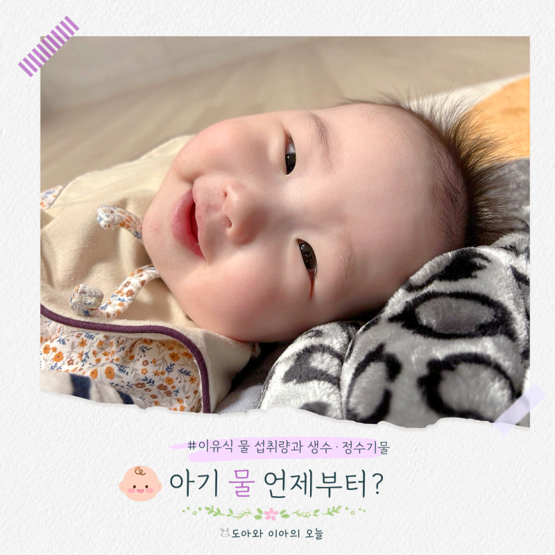 아기 물 언제부터? 이유식 물 섭취량과 생수·정수기물 가이드