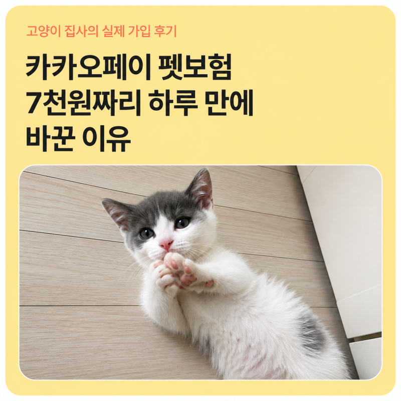 카카오페이 펫보험, 월 7천원인데 2만6천원으로 바꾼 이유