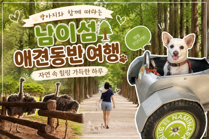 가평 애견동반 여행 남이섬 자전거 카페 당일치기 여행
