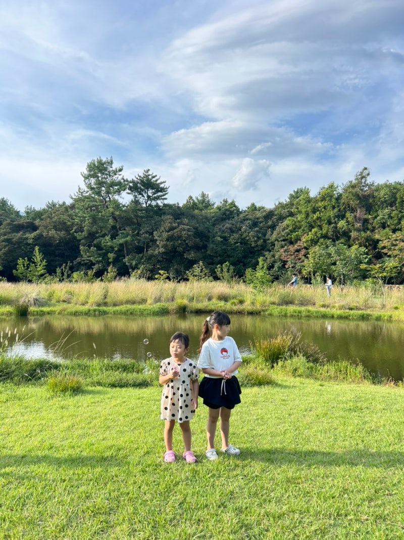 아이랑 제주도 한달살기 일정 비용 아이와 가볼만한곳