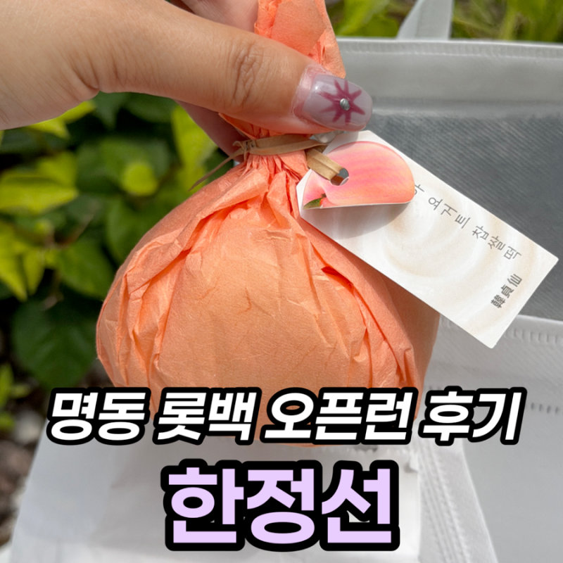 명동 한정선 오픈런 후기, 그릭요거트 찹쌀떡 3종