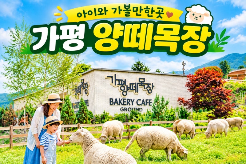 [아이와 가볼만한 곳]가평 양떼목장카페 "엄마 나 양이랑 놀았어!"