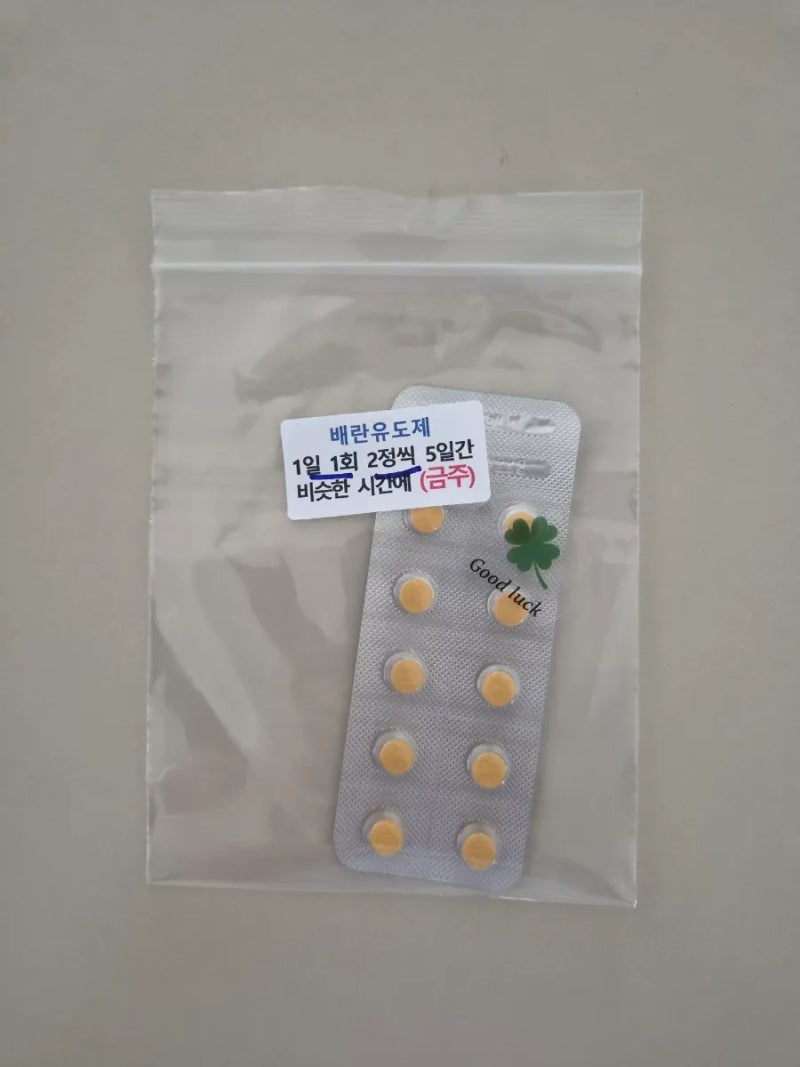 인공수정 1차 후기｜비용·타임라인 총정리, 지원금 적용 실지출