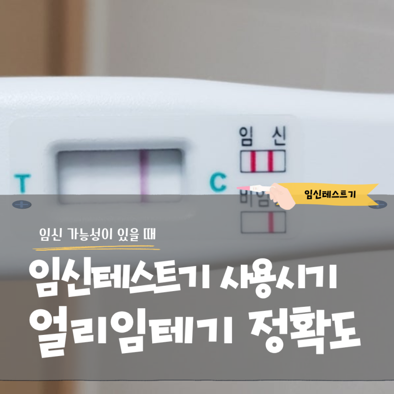 임신테스트기 사용시기와 얼리 임테기 정확도 높이는 사용법