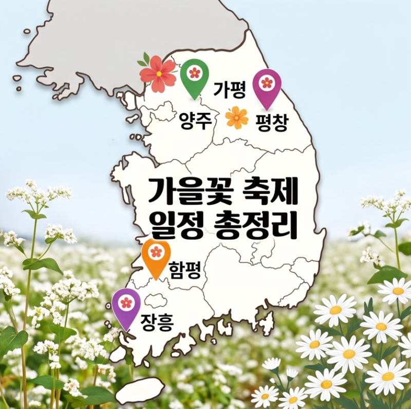 2026 가을꽃 축제 일정 총정리 : 9~10월 메밀꽃·꽃무릇·핑크뮬리 등 명소