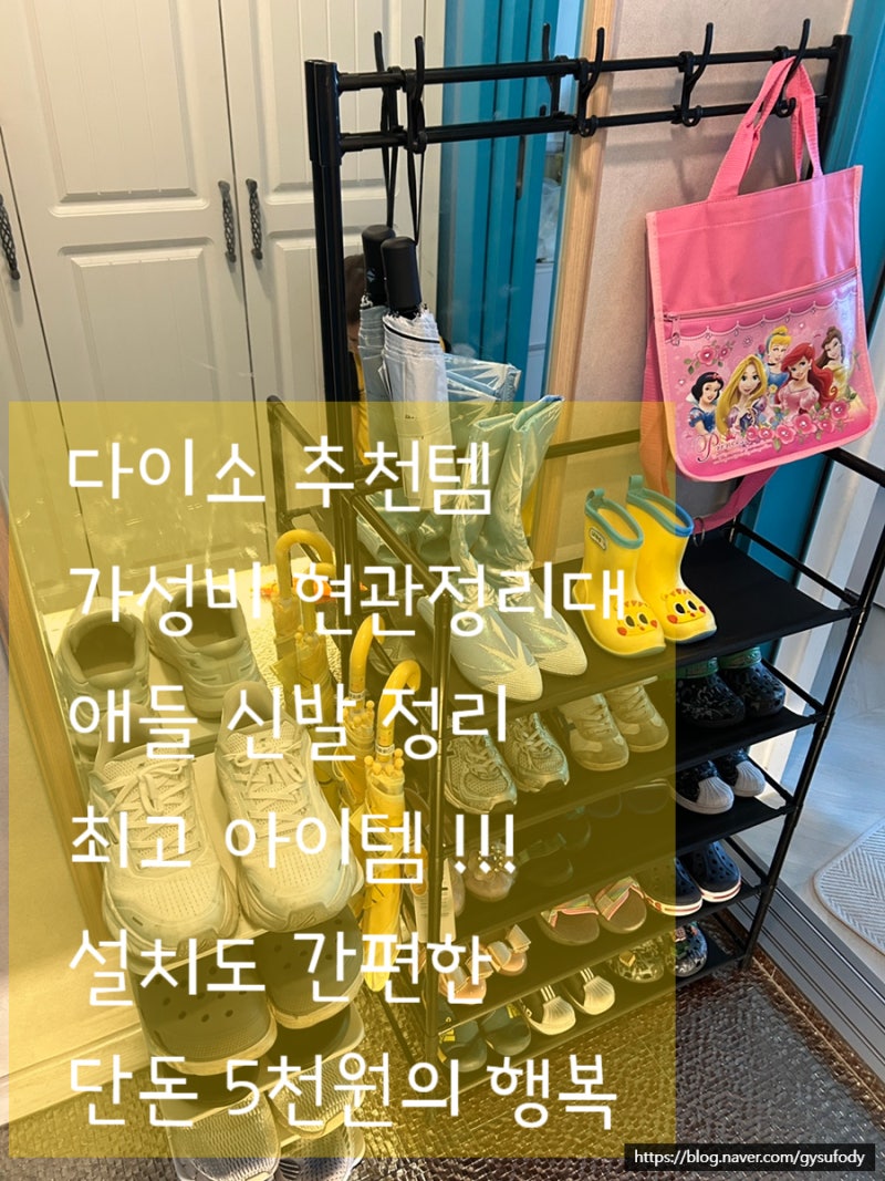 [내돈내산]다이소 가성비템 신발정리대 현관 정리대 5단 다이소 추천