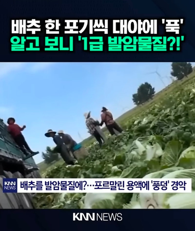 100% 국산 별미촌 알타리 총각김치 2kg 특가 구매 후기