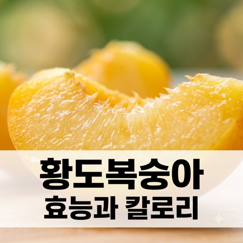 황도복숭아 효능 칼로리 여름철 건강 관리 꿀팁 완벽 정리
