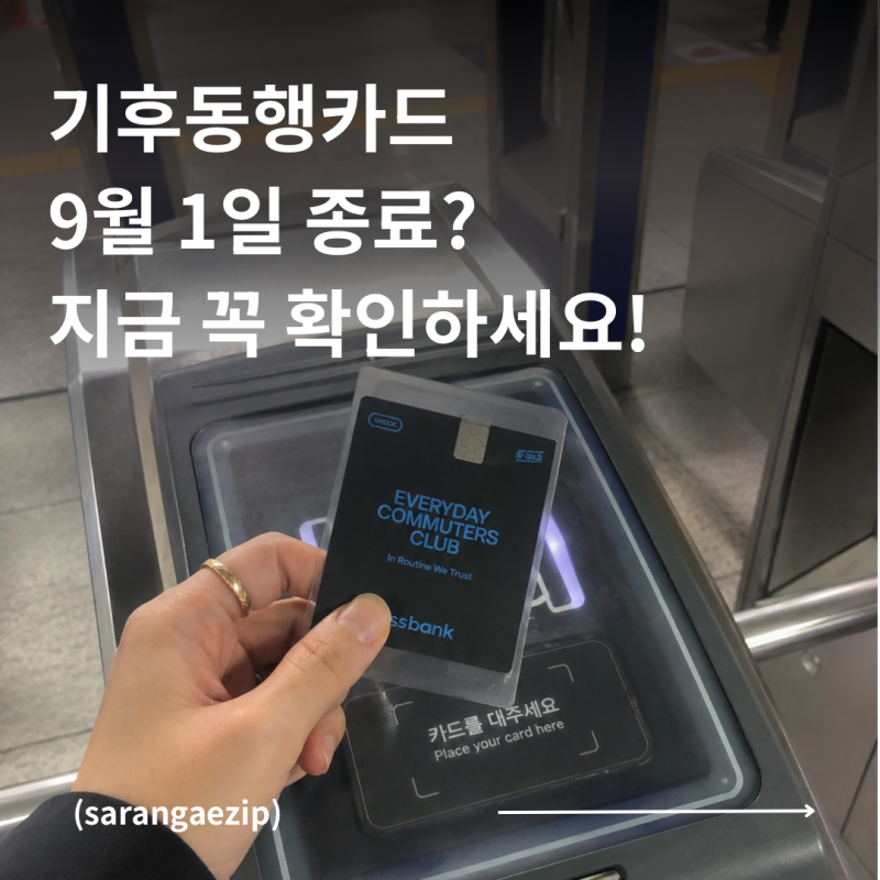 기후 동행 카드 9월 1일 종료 | 모두의 카드 전환 방법부터 혜택까지 총정리